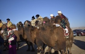“Тэмээний өв соёл-2023” наадам болов