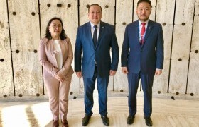 Дэлхийн хүний эрхийн үндэсний байгууллагуудын холбооны хурал Женев хотноо болж байна