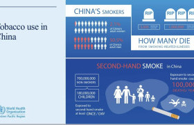 Б.Мөнхсоёл: Бээжин хот “smoke free” кампанит ажлыг 2 орчим жилийн хугацаанд хийж тамхигүй хот болсон