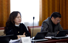 Эрүүл мэндийн салбарын стандарт боловсруулах, батлуулах үйл явц хэт удаашралтай байна гэв