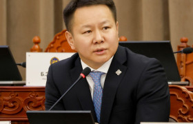 Н.Алтаншагай: Хөгжлийн банкийг улс төрийн нөлөөллөөс хол байлгаж, ОУ-ын жишгийн дагуу засаглалын менежмент дээр тулж ажиллах шаардлагатай