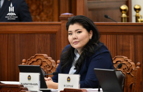 М.Нарантуяа-Нара: Шинэ Ерөнхий сайдаас баялгийн шударга бус хуваарилалт хийсэн үе үеийн улс төрчдөд хариуцлага тооцох талаар нэхэл хатуутай шаардаж ажиллана
