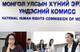 Хүний эрхийг хамгаалах нь зөвхөн хуулийн хэрэгжилт бус анхаарал, хөрөнгө, манлайлал шаардсан ажил юм