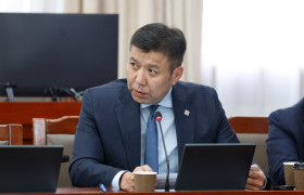 Б.Энхбаяр: Бүтэн жил, 2 чуулганы хугацаанд УИХ "Чоно агнах тухай" ганцхан бие даасан хууль баталсан нь үр дүн гаргадаггүй олон ажлын хэсэг байгуулснаас үүдсэн