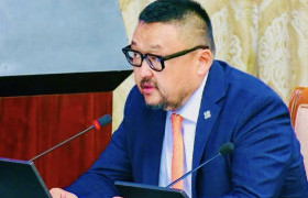 З.Мэндсайхан: Эрүүл, тайван амьдрахын тулд мэдэх эрхээ хангахаар тэмцэж буй иргэдээ гадна, дотны гар хөл хэмээн зарлаад сууж болохгүй!