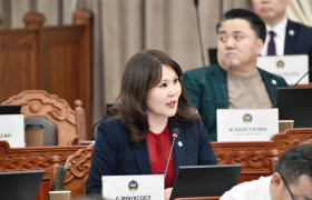 УИХ-ын гишүүн Б.Мөнхсоёл 126 гишүүнтэй парламентын эхний 1 жилд 7 хуулийн төсөл өргөн мэдүүлж, 2 хууль батлууллаа
