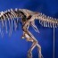 Роберт Пэйнтер: Тираннозавр Батаарын ясыг улсын хамгаалалтад авахыг харах сайхан байлаа