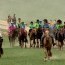 ХТҮГ  “Монгол морь 3000” арга хэмжээнд хамтран ажиллаа