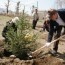 Нийслэлийн хэмжээнд “Нэг сая мод ургуулах хөдөлгөөн”-ийг зохион байгуулна