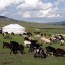 Монгол хэл, бичиг, монгол ахуйтай танилцана