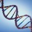 “Microsoft”  ДНК-д мэдээлэл хадгалах технологийн туршилтыг эхлүүллээ