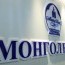 М.Оюунчимэг: Монголбанкны хянан шалгагч Хөгжлийн банкинд хяналт тавих тухай зарчмын зөрүүтэй санал дэмжигдсэн