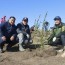 Эрдэнэт хотын ногоон төсөлд зориулж 1000 мод шинээр тарилаа