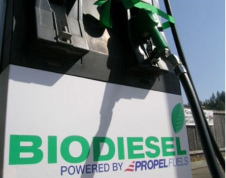 Монголчууд анх удаа биодизель үйлдвэрлэлээ