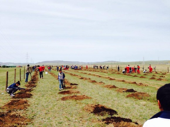 Монголын залуучуудын холбоо 3500 мод тарилаа