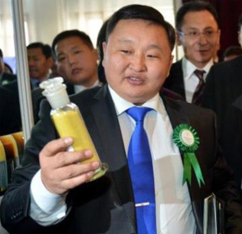 Н.Тэгшбаяр: Зөвхөн монгол улс ураныг олборлох гээгүй