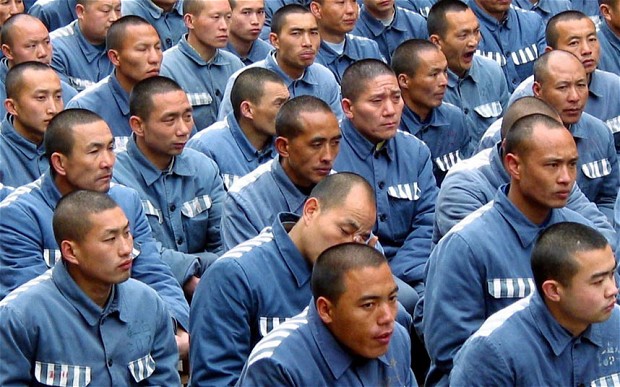 Хятадад хоригдлуулыг хүчээр эрхтний донор болгодог байжээ