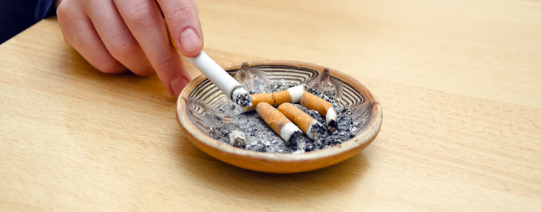 Тамхи таталт нь халдварт бус өвчний хамгийн гол эрсдэлт хүчин зүйл юм