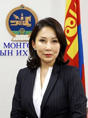 Улсын Их Хурлын гишүүн Б.Баярсайханаас “Монгол Улсын хэмжээнд хүүхэд, эмэгтэйчүүдийн эсрэг үйлдэгдэж буй гэмт хэрэг, зөрчлийн талаар” Хууль зүй, дотоод хэргийн сайдад тавьсан асуулт