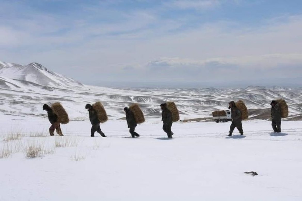 Монгол Улсад 1000 гаруй байгаль хамгаалагч ажиллаж байна