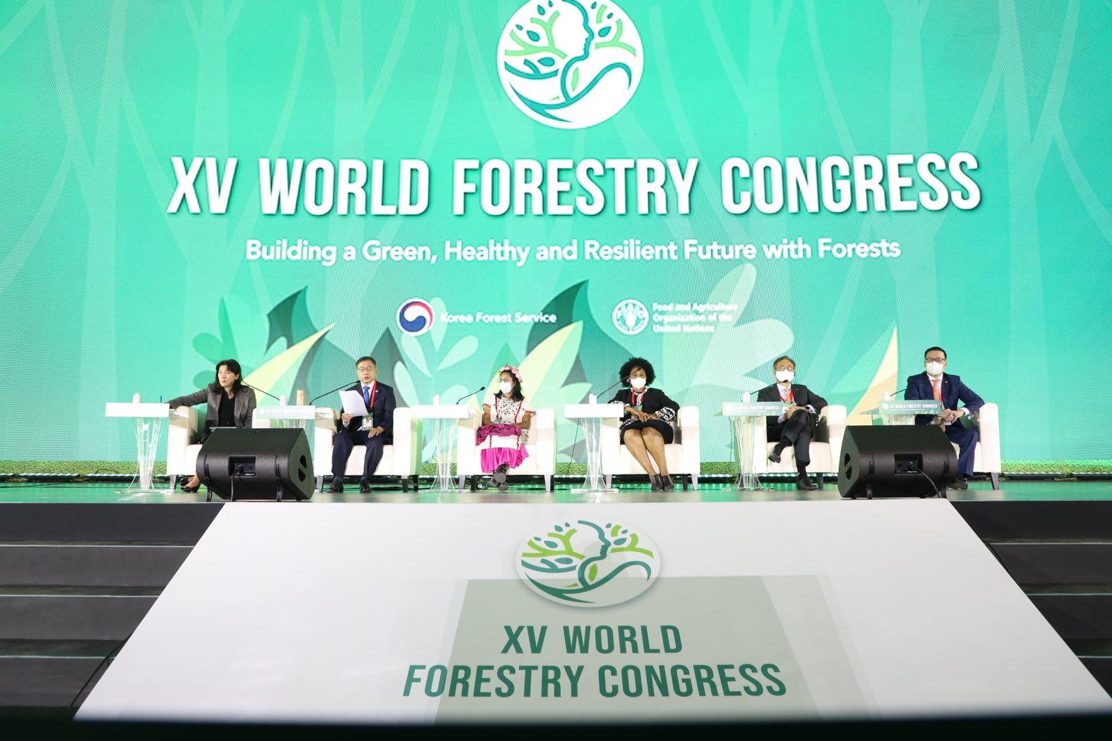 Дэлхийн XV ойн чуулган БНСУ-д болж байна