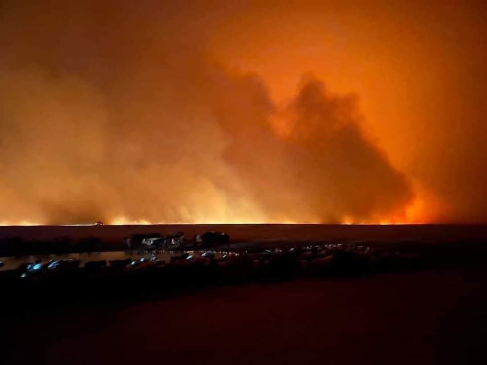 Дорнод, Сүхбаатарт гарсан тал хээрийн түймрийг унтраахад 260 гаруй хүн ажиллаж байна