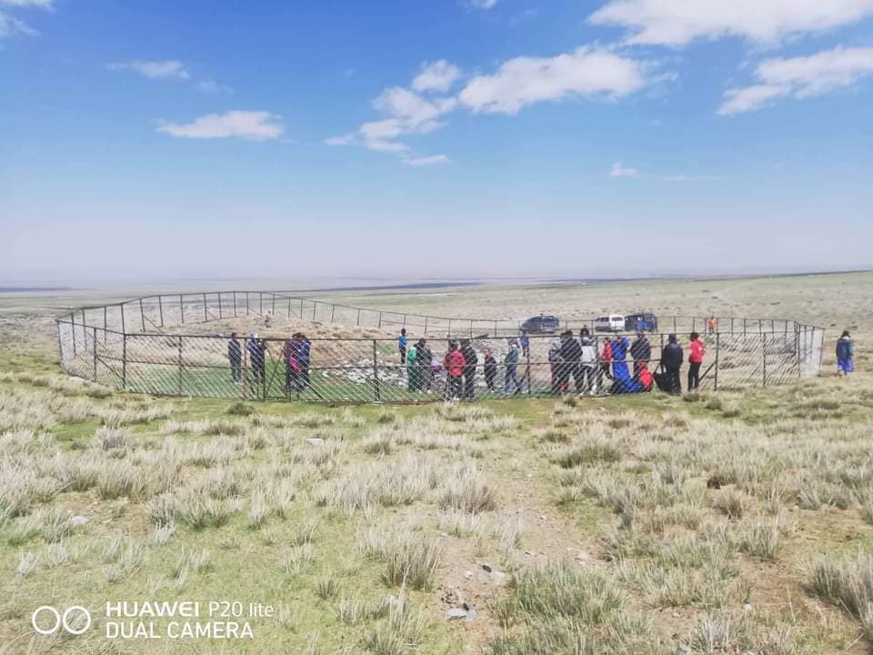 Говь-Алтай аймгийн Дарив сумын багш, сурагчид 6 булгийн эхийг сэргээж, хамгаалжээ