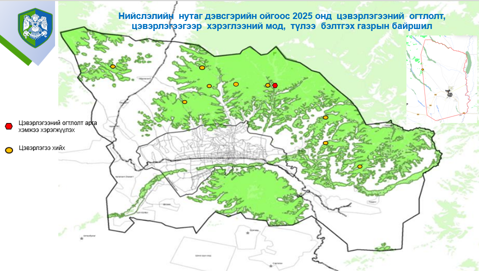 Энэ онд нийслэлийн ойн 208 га талбайд цэвэрлэгээ хийгдэнэ